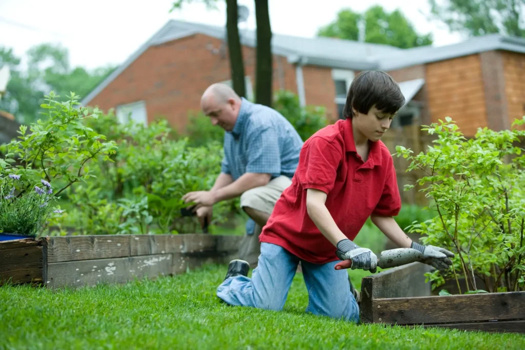 Protect Your Business with Expert Commercial Pest Control Tips