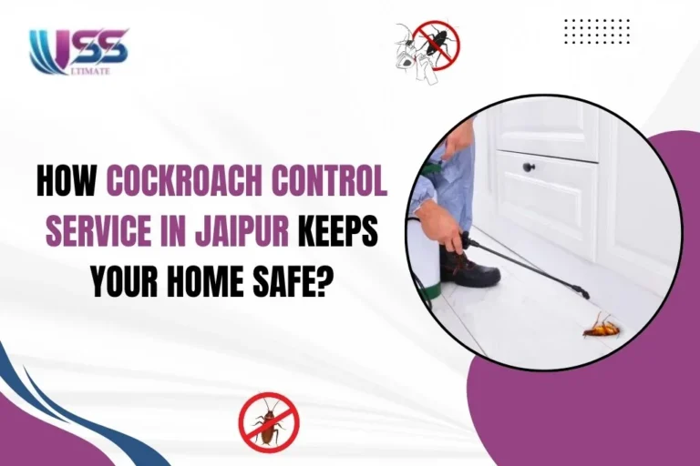 Cockroach Control Service in Jaipur