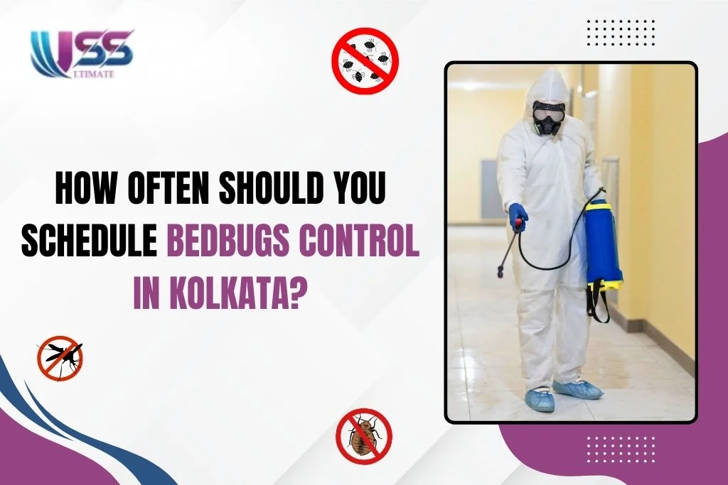 How Often Should You Schedule Bedbugs Control in Kolkata?