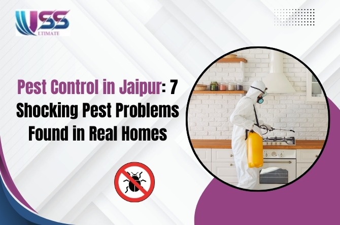 Pest Control in Jaipur: 7 Shocking Pest Problems Found in Real Homes