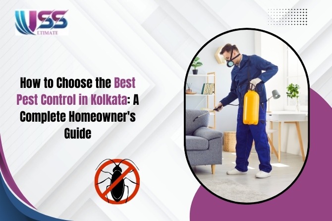 How to Choose the Best Pest Control in Kolkata: A Complete Homeowner’s Guide