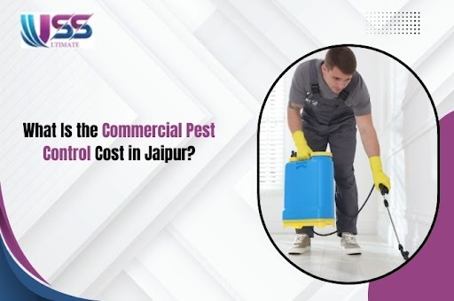 What Is the Commercial Pest Control Cost in Jaipur?