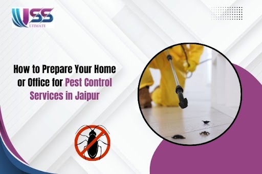 How to Prepare Your Home or Office for Pest Control Services in Jaipur