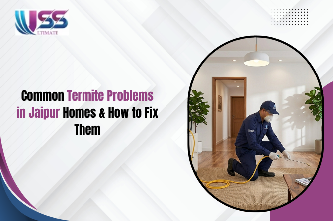 Common Termite Problems in Jaipur Homes & How to Fix Them