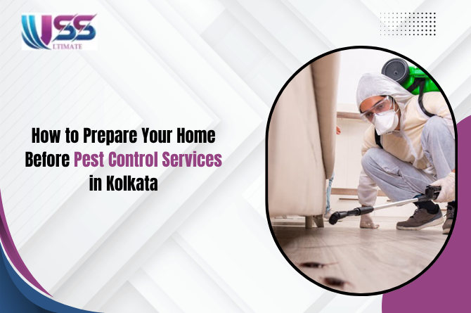 Pest Control Services in Kolkata