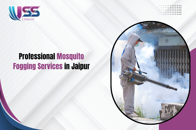 Mosquito Fogging Services