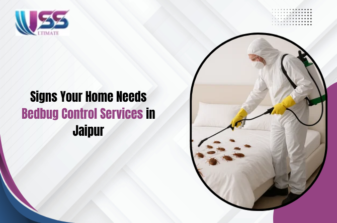 Signs Your Home Needs Bedbug Control Services in Jaipur