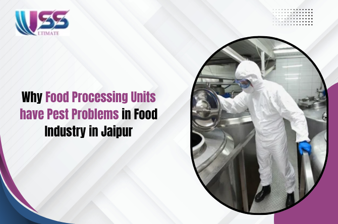 Pest Problems in Food Industry