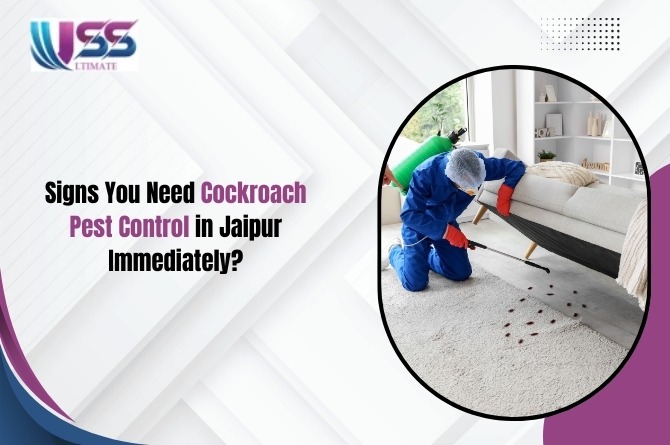 Cockroach Pest Control in Jaipur