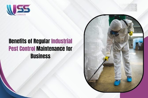 Benefits of Regular Industrial Pest Control Maintenance for Business