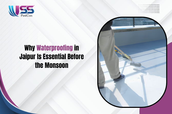 Why Waterproofing in Jaipur Is Essential Before the Monsoon
