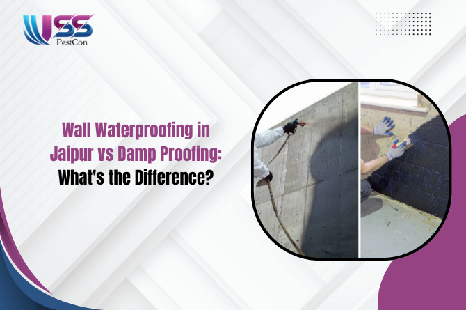 Wall Waterproofing in Jaipur vs Damp Proofing: What’s the Difference?