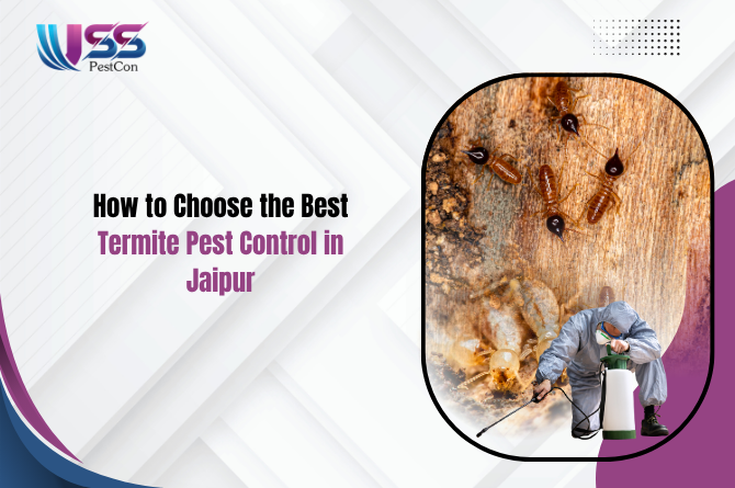 How to Choose the Best Termite Pest Control in Jaipur
