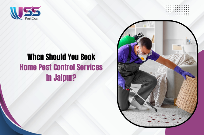 When Should You Book Home Pest Control Services in Jaipur?