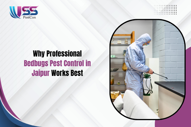 Why Professional Bedbugs Pest Control in Jaipur Works Best