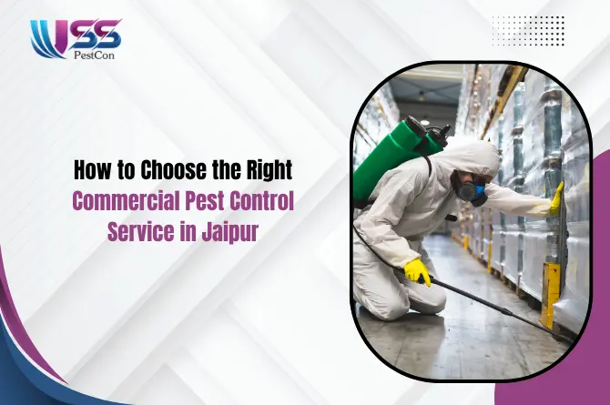How to Choose the Right Commercial Pest Control Service in Jaipur