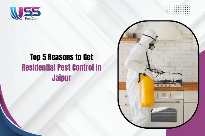 Top 5 Reasons to Get Residential Pest Control in Jaipur