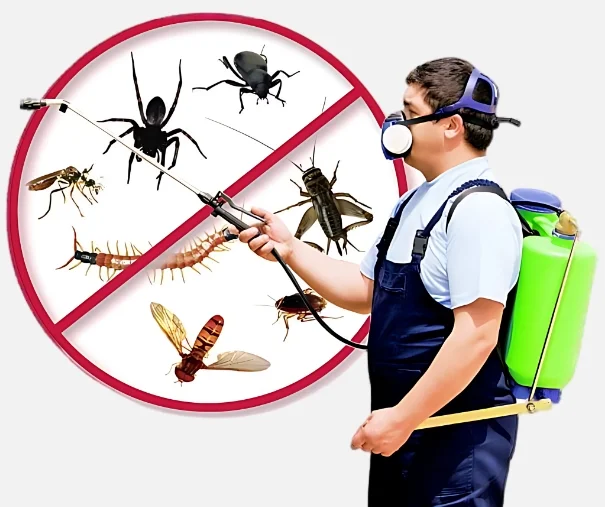 Pest Control Services in Jaipur