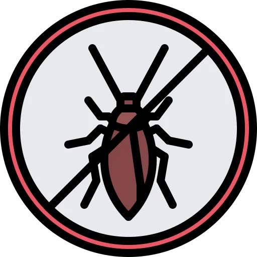 Wood Borer Control Services in Jaipur
